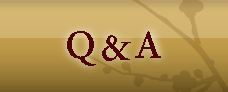 Q&A